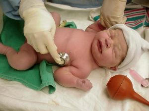 newborn-baby-195269-m